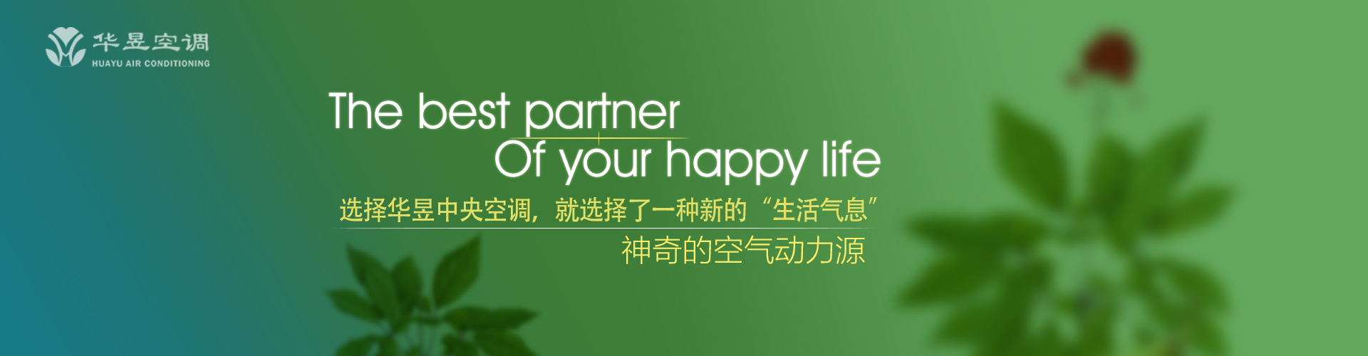 助边输财网